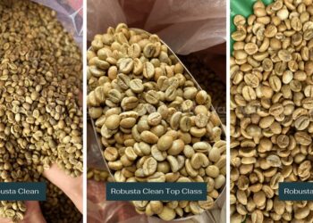 Basic Information about the Dry Processing Method