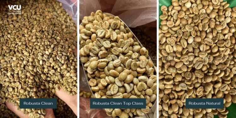 Basic Information about the Dry Processing Method