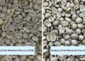 What is Full Washed Process Coffee?