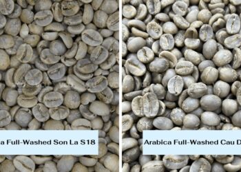 What is Full Washed Process Coffee?