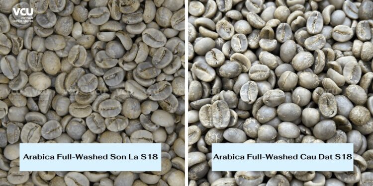 What is Full Washed Process Coffee?