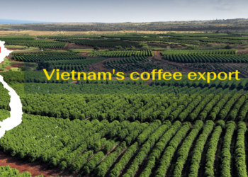 Vietnam’s Coffee Export Market Booming: Great Potential or New Challenges?