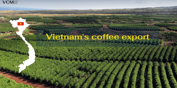 Vietnam’s Coffee Export Market Booming: Great Potential or New Challenges?