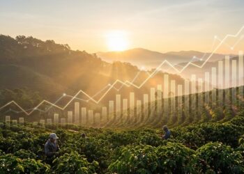 US Coffee Prices Stay Elevated Despite Tariff Removal