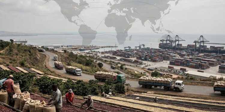 Coffee Market Analysis 2026: Structural Supply Tightness, Premium Demand Reshape Global Trade