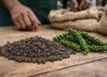 Global Pepper Market 2026: Tight Supply, Cost Pressures and a Shifting Trade Landscape