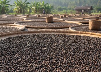 Global Pepper Market Brief: Supply Tightens as Demand Signals Recover in 2026