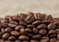 Arabica Coffee News 2026: Climate Risks, Tight Supply Drive Market Volatility