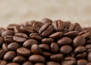 Arabica Coffee News 2026: Climate Risks, Tight Supply Drive Market Volatility