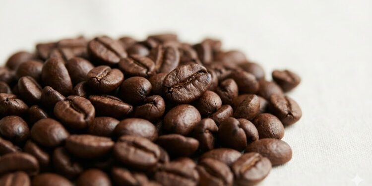 Robusta on the Path to Specialty Status: A Structural Shift in the Global Coffee Market