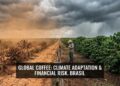 Coffee Climate Data Tool Aims to Safeguard Future Supply