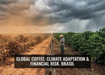 Coffee Climate Data Tool Aims to Safeguard Future Supply