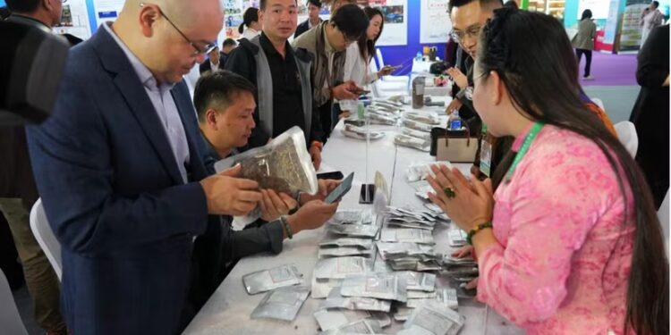 Vietnam-China Coffee Partnership Opens a New Era for Cross-Border Supply Chains