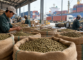 Vietnam’s Coffee Industry at a Turning Point: From Raw Material Dominance to Global Value Competitiveness